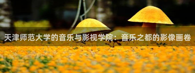 星辰影院免费在线观看视频