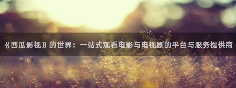 妈妈的朋友5星辰影院