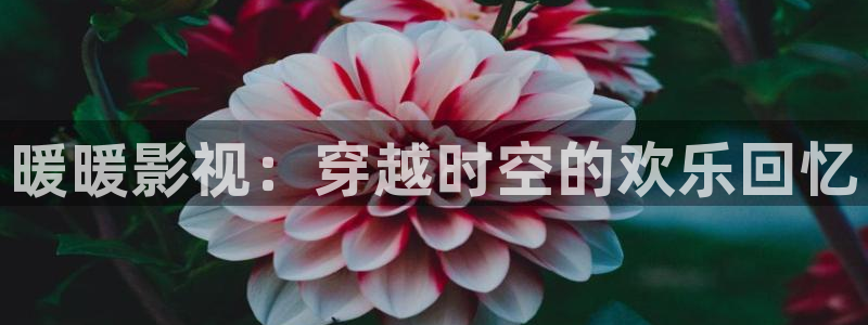 月光变奏曲电视剧免费观看星辰影院：暖暖影视：穿越时空的欢乐回忆