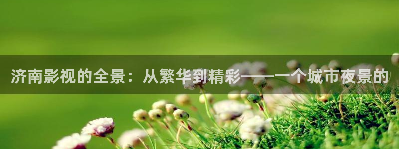 无以伦比的美丽星辰影院：济南影视的全景：从繁华到精彩——一个城市夜景的