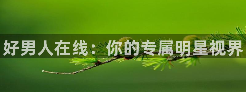 无颜之月星辰影院：好男人在线：你的专属明星视界